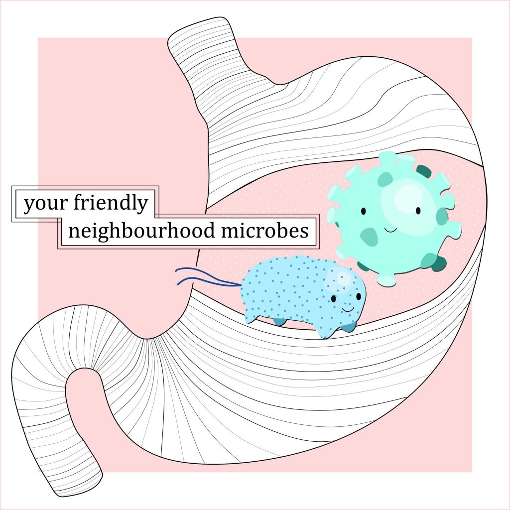 Friendly-looking microbes in the stomach. The text reads "your friendly neighbourhood microbes".