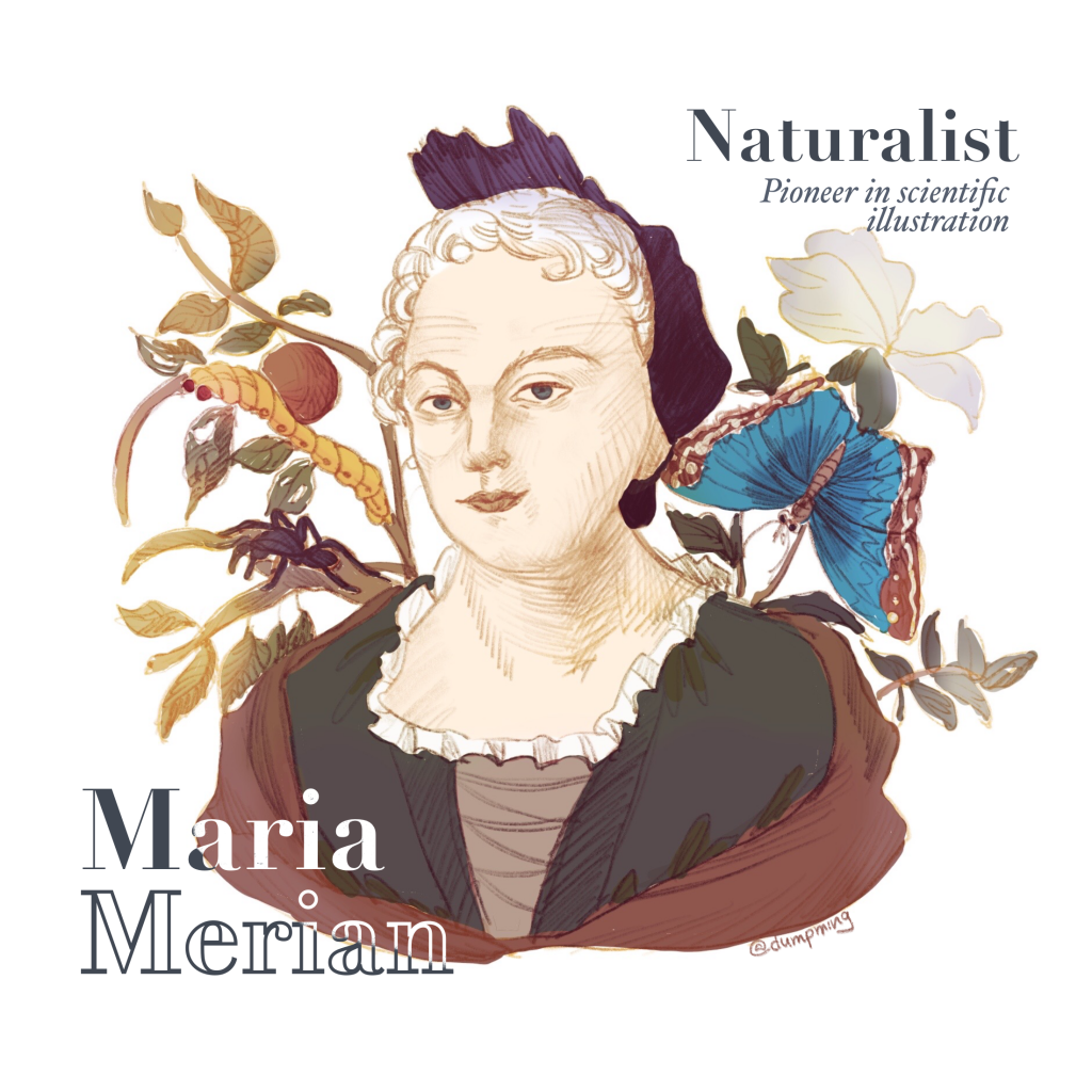 A portrait of Maria Merian. The text reads "Naturalist, pioneer in scientific illustration".