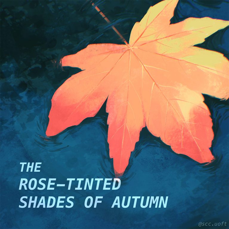 A closeup of a gold/red maple leaf floating in a puddle. The text reads, "The rose-tinted shades of autumn".