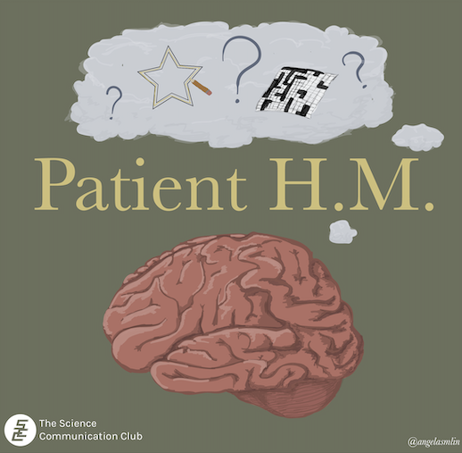 Illustration of a brain underneath the words "Patient H.M.". Above is a thought bubble containing a star tracing and crossword puzzle
