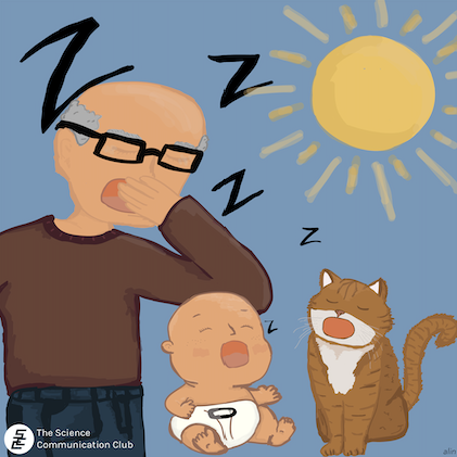 Illustration of a grandpa, baby, and cat yawning in the sun