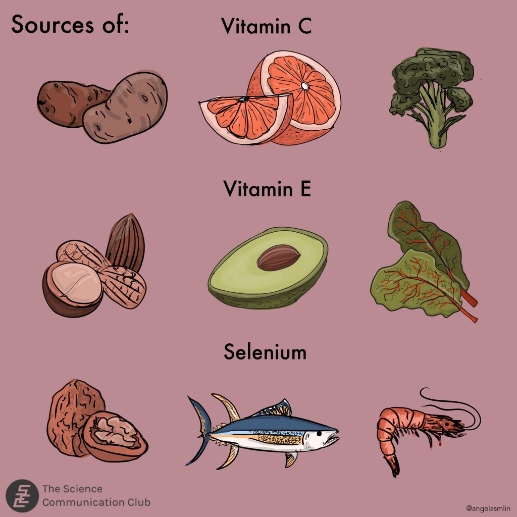 Illustration depicting sources of vitamin C (potatoes, oranges, broccoli), vitamin E (nuts, avocados, spinach), and selenium (walnuts, fish, shrimp).