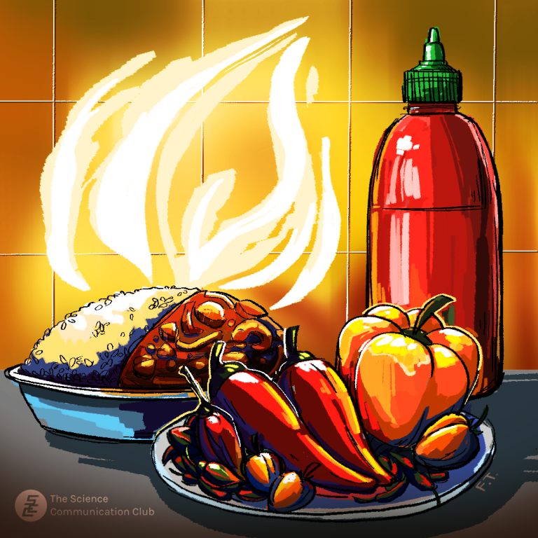 A plate of assorted peppers in front of a dish of rice and curry emitting steam in the shape of a flame, and a bottle of hot sauce.