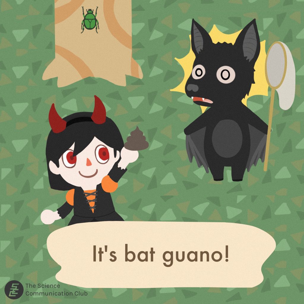 A human in halloween costume picking up bat guano. Bat: shocked.