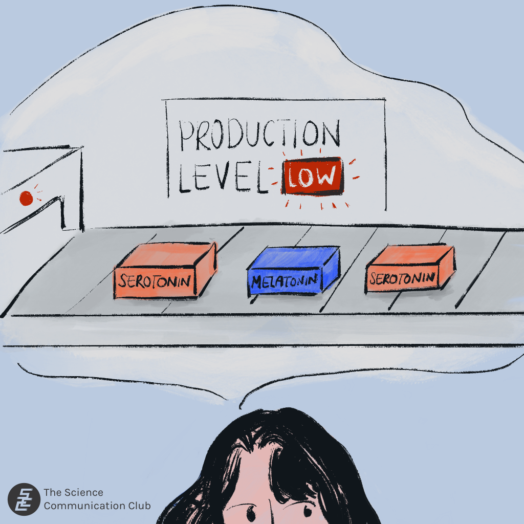 Inside a person's brain, boxes that represents serotonin and melatonin are on a conveyor belt. Behind the conveyor belt is a sign suggesting the production level is slow.