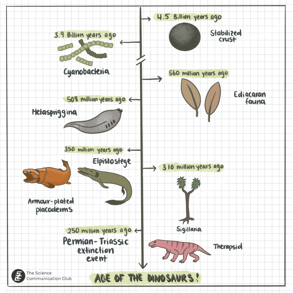 A timeline depicting the various organisms that inhabited the Earth before the age of the dinosaurs.