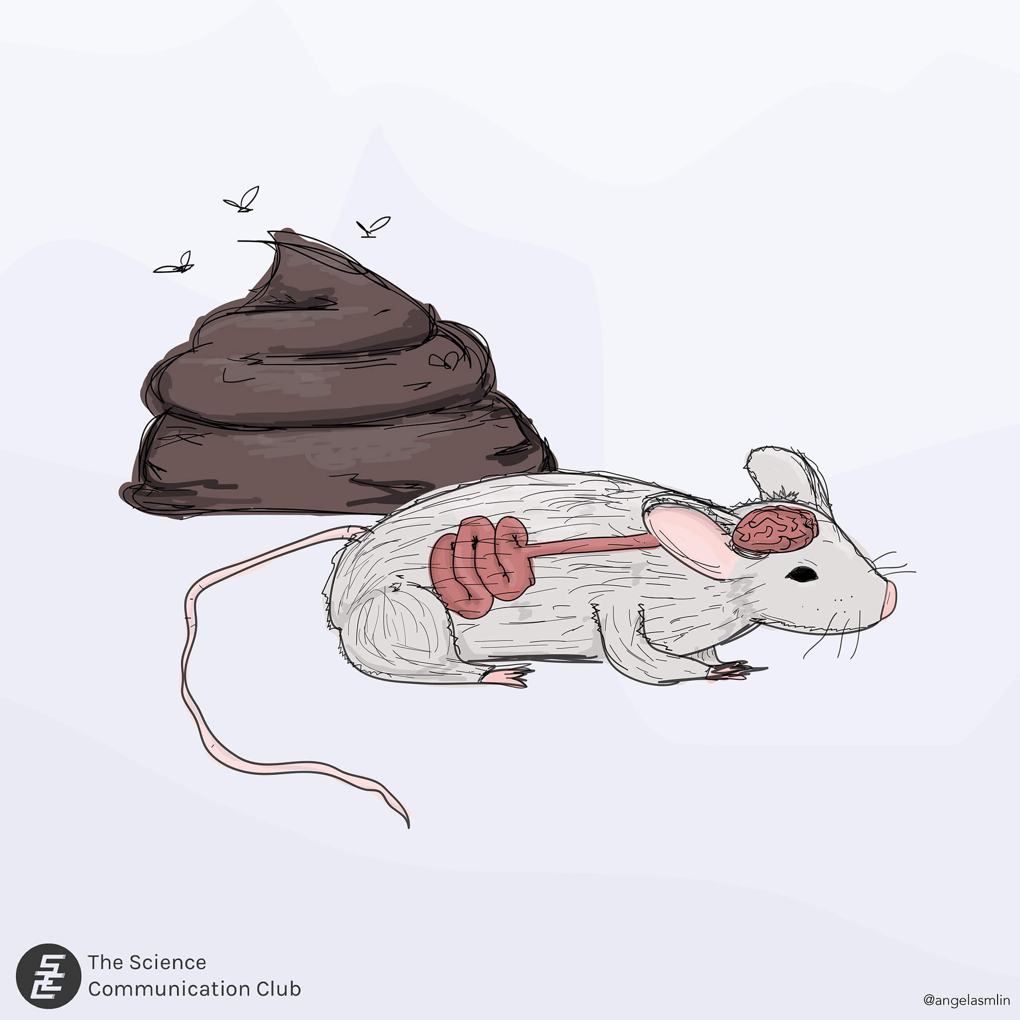 The gut-brain-axis in a mouse is drawn, with excrement in the background as a reference to feces extraction studies.
