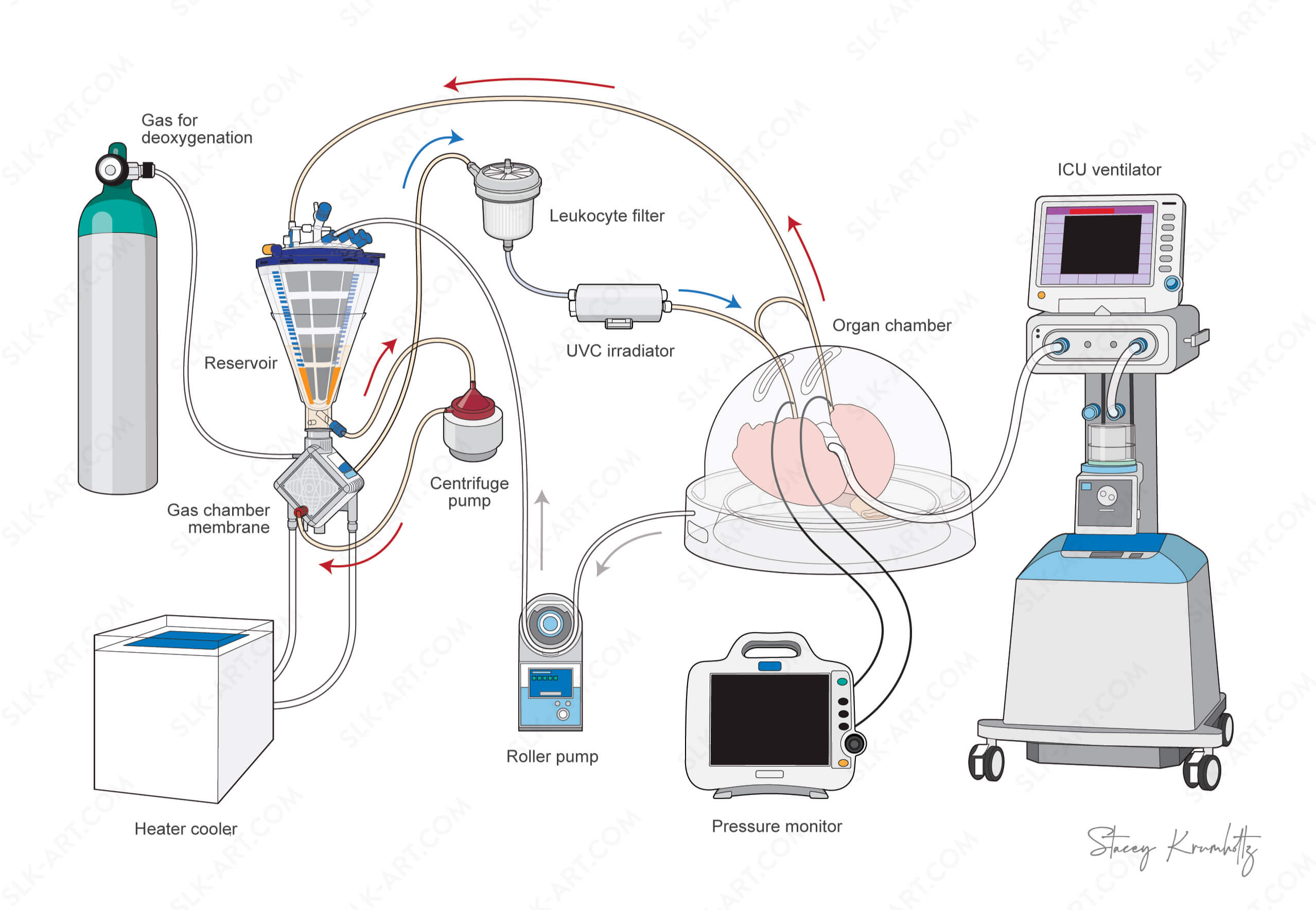 An illustrated diagram of various equipment by Stacey Krumholtz. 