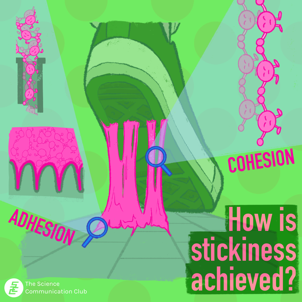 Graphic showing gum stuck to a shoe, and what adhesive and cohesive properties look like in terms of particles in a material.