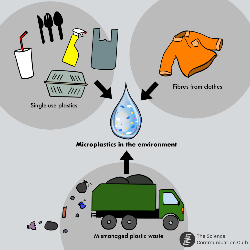 Illustration of different sources of microplastics in the environment such as fibres from clothes, single use plastics and mismanaged of plastic waste.