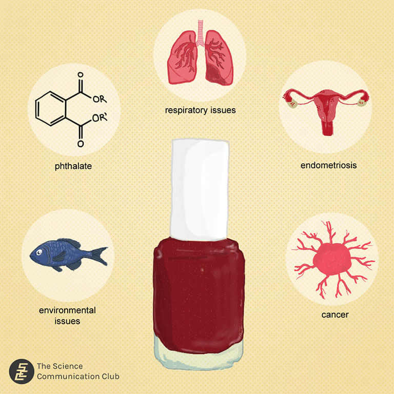 Nail polish in the center surrounded by an image of endometriosis, cancer cell, fish, lungs, phthalates structure.