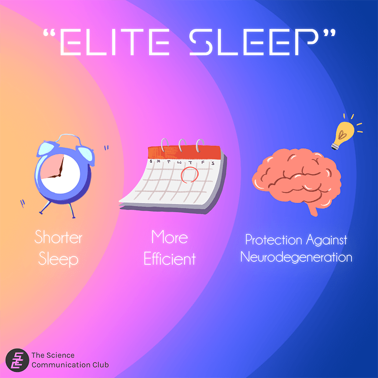The main characteristics of the “elite sleeping genes”, illustrated through an alarm clock, a calendar, and a brain.