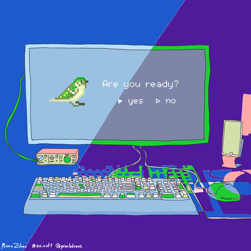 A desktop computer. On the monitor, there is an image of a sparrow bird and a prompt that reads "Are you ready?". There are two choices for the user to input, "yes" or "no".