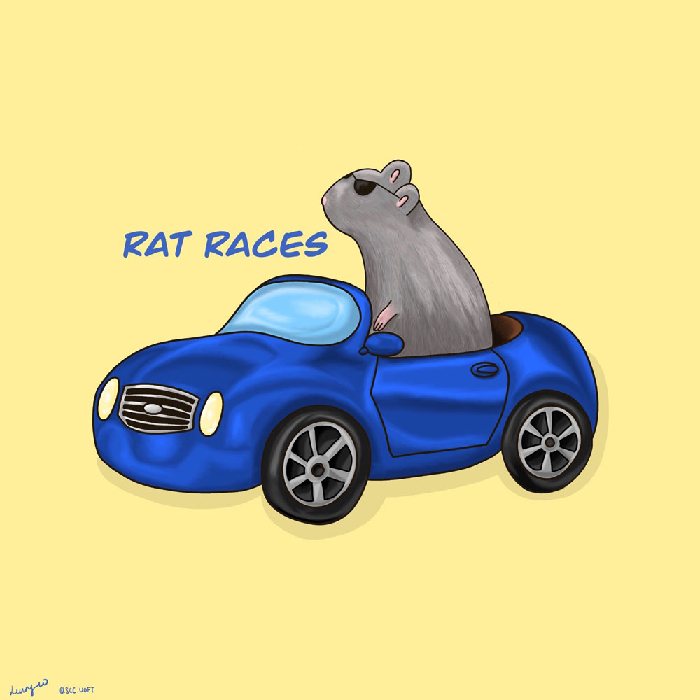 A grey rat in a blue convertible car.