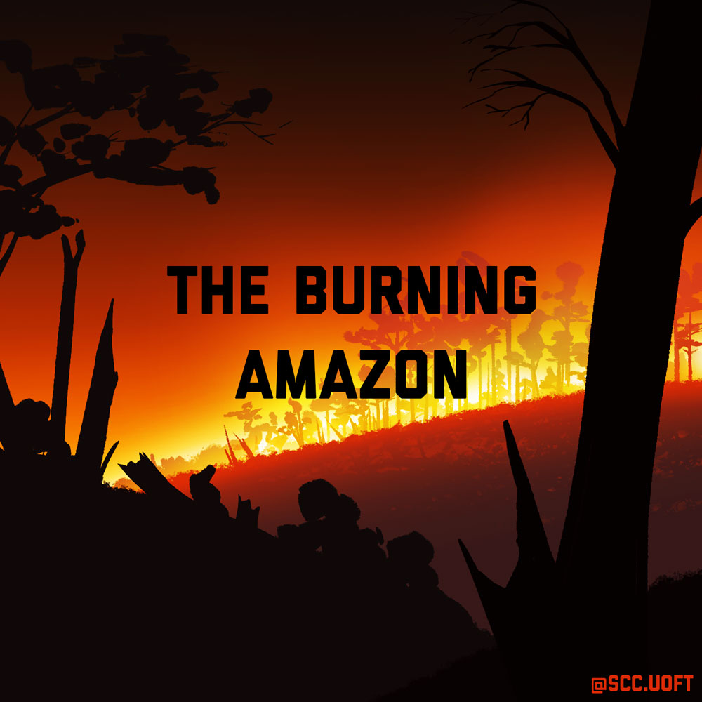 An illustration of a forest fire. In the foreground, there are trees that are charred black. In the background, a large fire continues to burn in the distance.