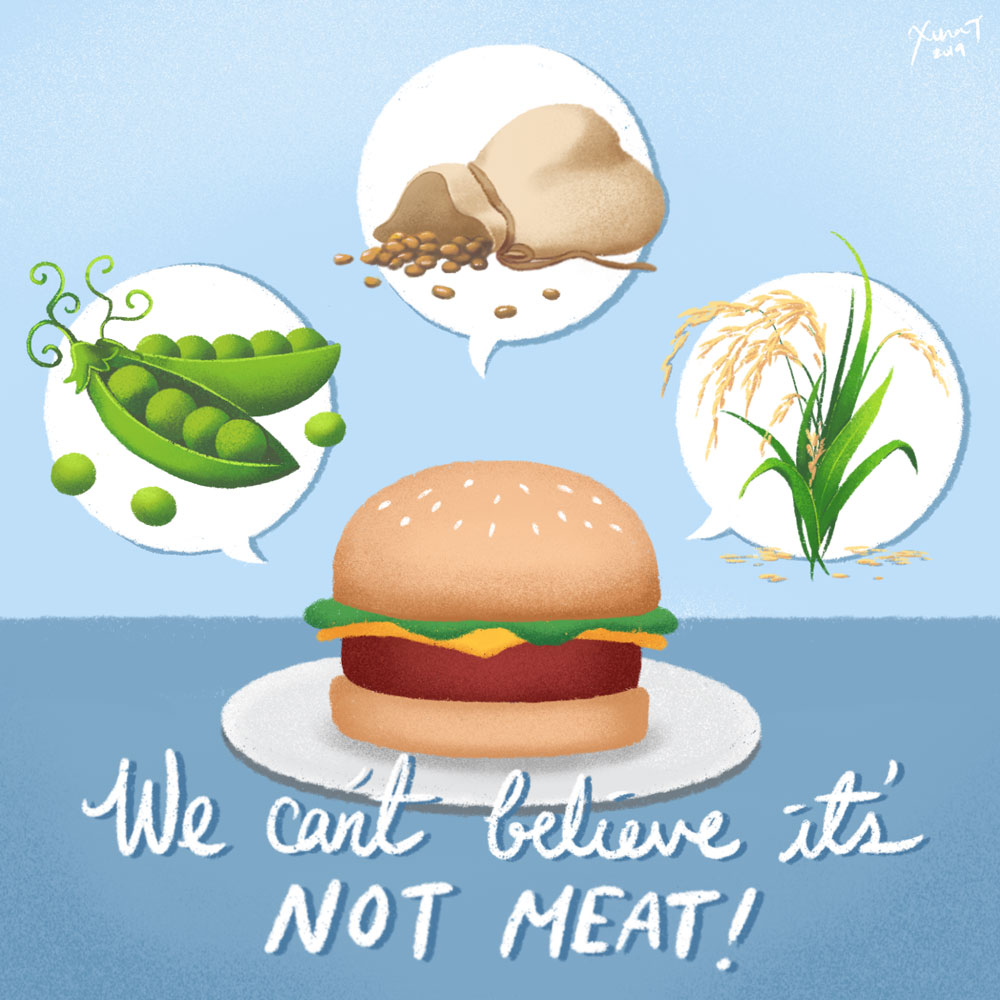 A hamburger on a plate. Surrounding the hamburger are bubbles. From left to right, the bubbles show peas, beans, and grains. The text reads "We can't believe it's not meat!".