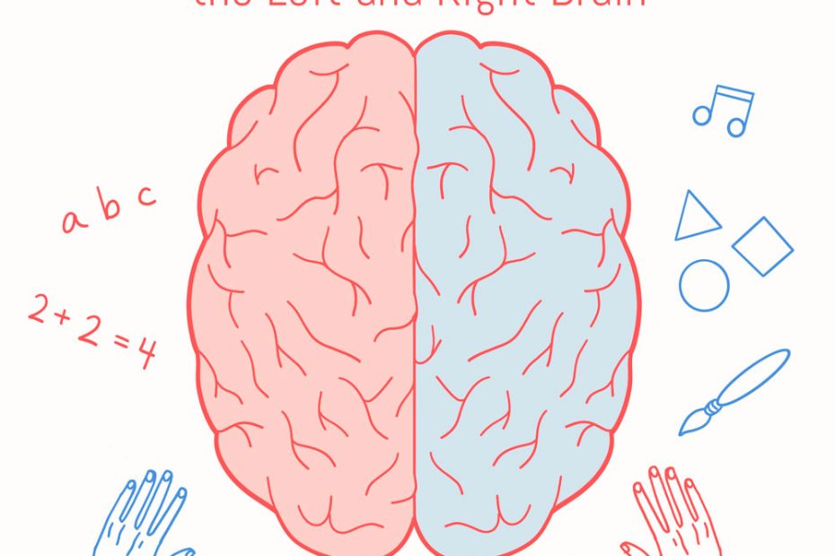 A top view of a brain, with the left hemisphere coloured in red and the right hemisphere in blue. On the the left side of the image, there are letters of the alphabet (ABC) and a math expression (2+2=4). On the right side, there is a musical note, geometric shapes, and a paint brush.