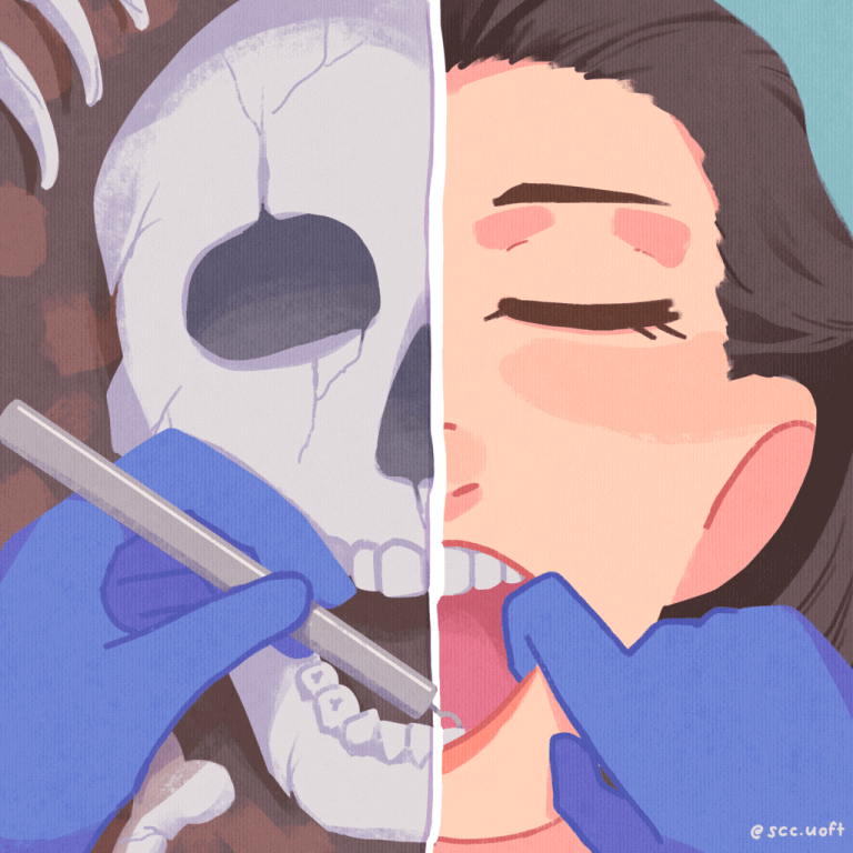 A dentist probing at a patient's teeth. The patient's face is divided into two halves: one half shows the patient's skeleton, while the other half shows the patient's face.