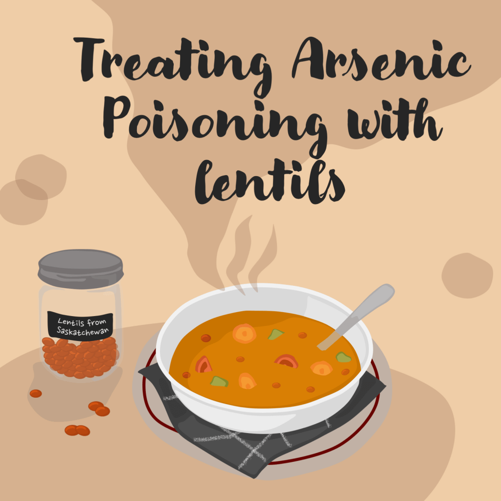 A steaming lentil soup. Beside the bowl of soup is a jar labelled "lentils from Saskatchewan". The title text reads "Treating Arsenic Poisoning with Lentils".