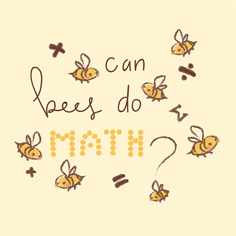 The text reads, "Can bees do math?". Bees are buzzing around the text. Mathematical symbols are scattered around the text as well.
