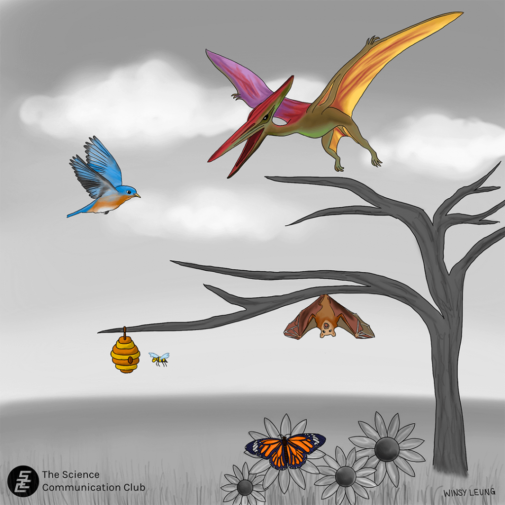 A pterodactyl, bird, bat, bee, and a butterfly are colourfully illustrated mid-flight. The background is entirely grey, and shows a tree and flowers in front of clouds.