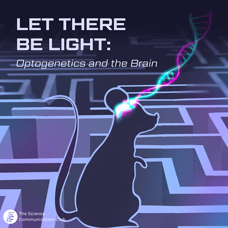 Silhouette of a mouse within a maze. Cyan and magenta coloured light beams originate from its brain and intertwine to form a DNA double-helix shape.