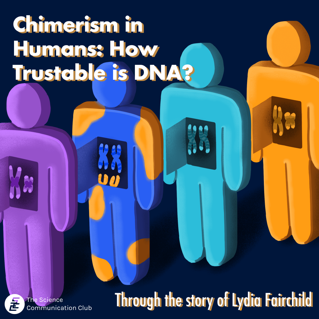 Four colourful cartoon people stand in a line, each with an opening inside their chest displaying a set of chromosomes. The second person in line has an additional set of chromosomes and patches of a different colour on their body, representing chimerism.