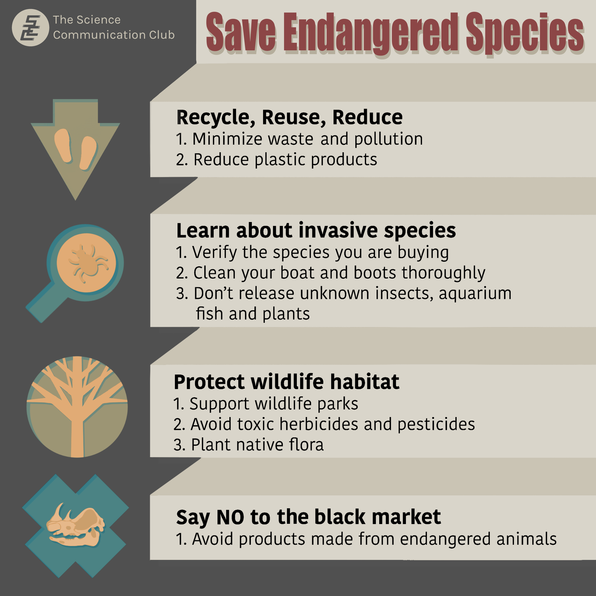 An image listing the ways you can help save endangered species. First, recycle, reduce, and reuse to minimize waste and pollution and reduce plastic products. Second, learn about invasive species by verifying the species you are buying, cleaning your boat and boots thoroughly, and not releasing unknown insects, aquarium fish, and plants. Third, protect wildlife habitats by supporting wildlife parks, avoiding toxic herbicides and pesticides, and planting native flora. Fourth, say no to the black market by avoiding products made from endangered animals.