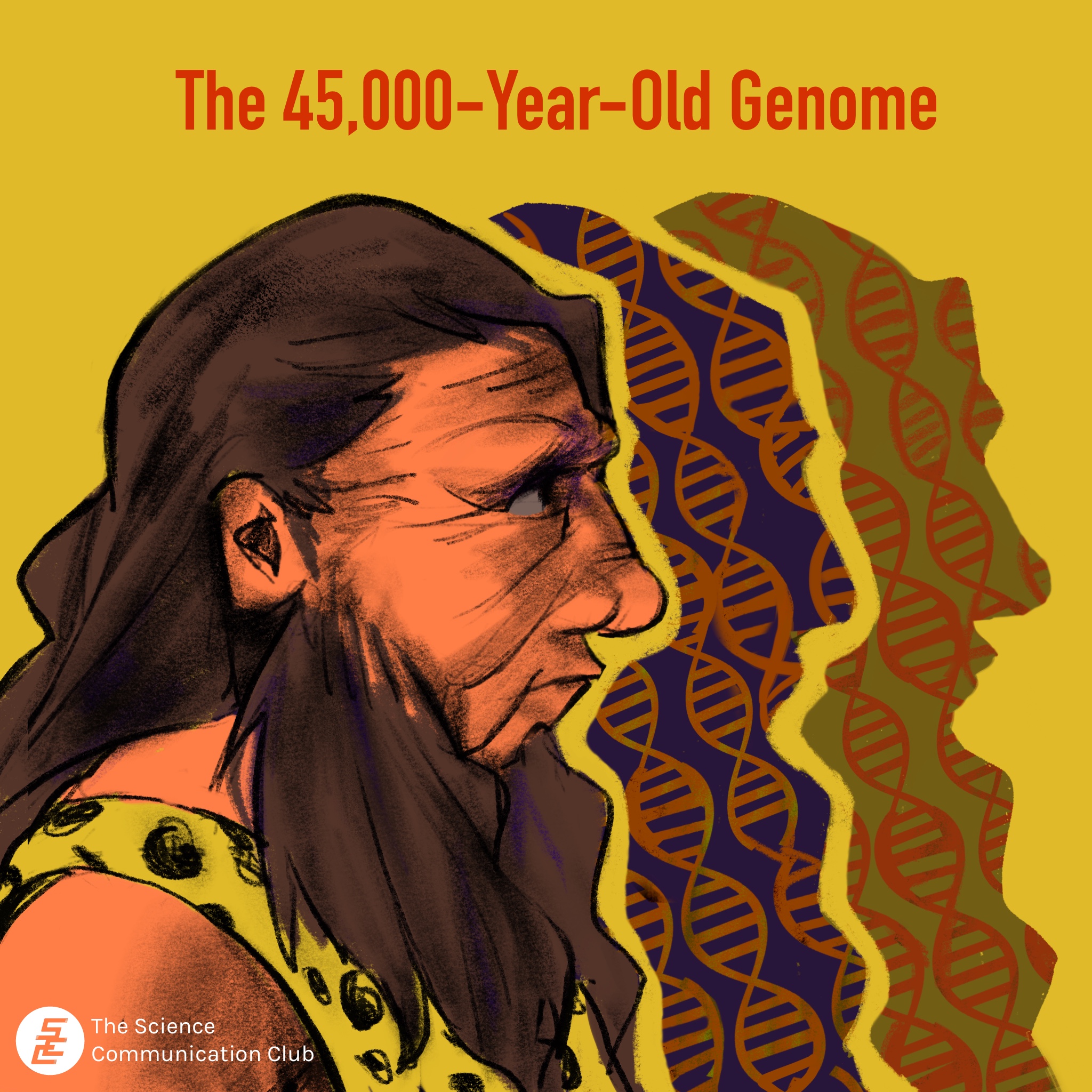 An illustrated profile view of a Neanderthal. Patterns of DNA fragments are shown on the casted shadow.