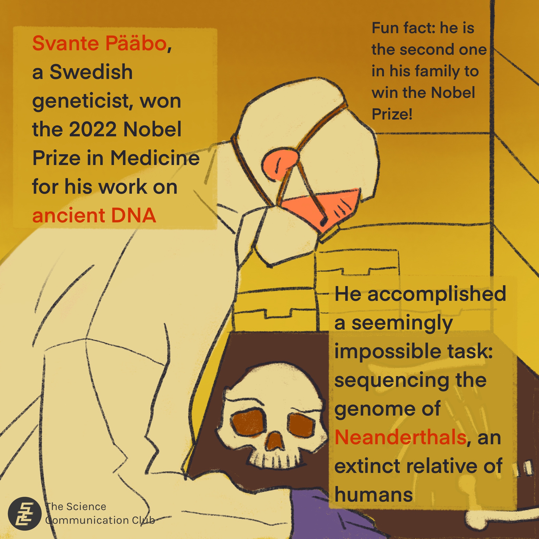 An illustration of a scientist studying archaeological examples in a laboratory. Text: Svante Pääbo, a Swedish geneticist, won the 2022 Nobel Prize in Medicine for his work on ancient DNA. Fun fact: he is the second one in his family to win the Nobel Prize. He accomplished a seemingly impossible task: sequencing the genome of Neanderthals, an extinct relative of human.