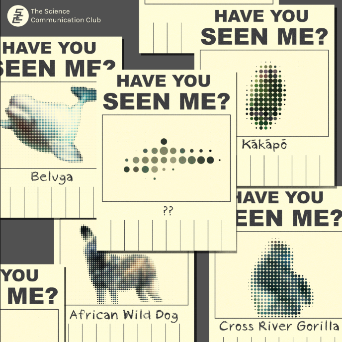 (cover): A wall full of “Have you seen me?” posters looking for endangered species. The resolution of the image for each species depends on its population. The more pixelated the animal image, the lower the population of that species.
