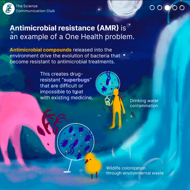 An illustration of animals standing in wastewater discharge and a human holding a water bottle containing microbes and antimicrobial compounds.