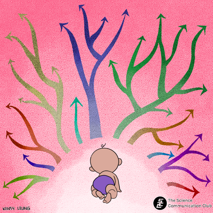 a crawling baby looking at the possible pathways that they can take. Some paths branch off into more possible pathways and some leads to a more specialized path.