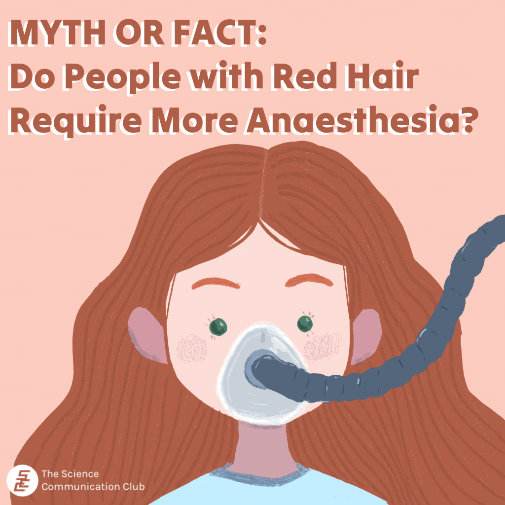 Girl with long red hair with an anesthesia mask. Text above the girl saying "Myth or Fact: Do people with red hair require more anaesthesia"