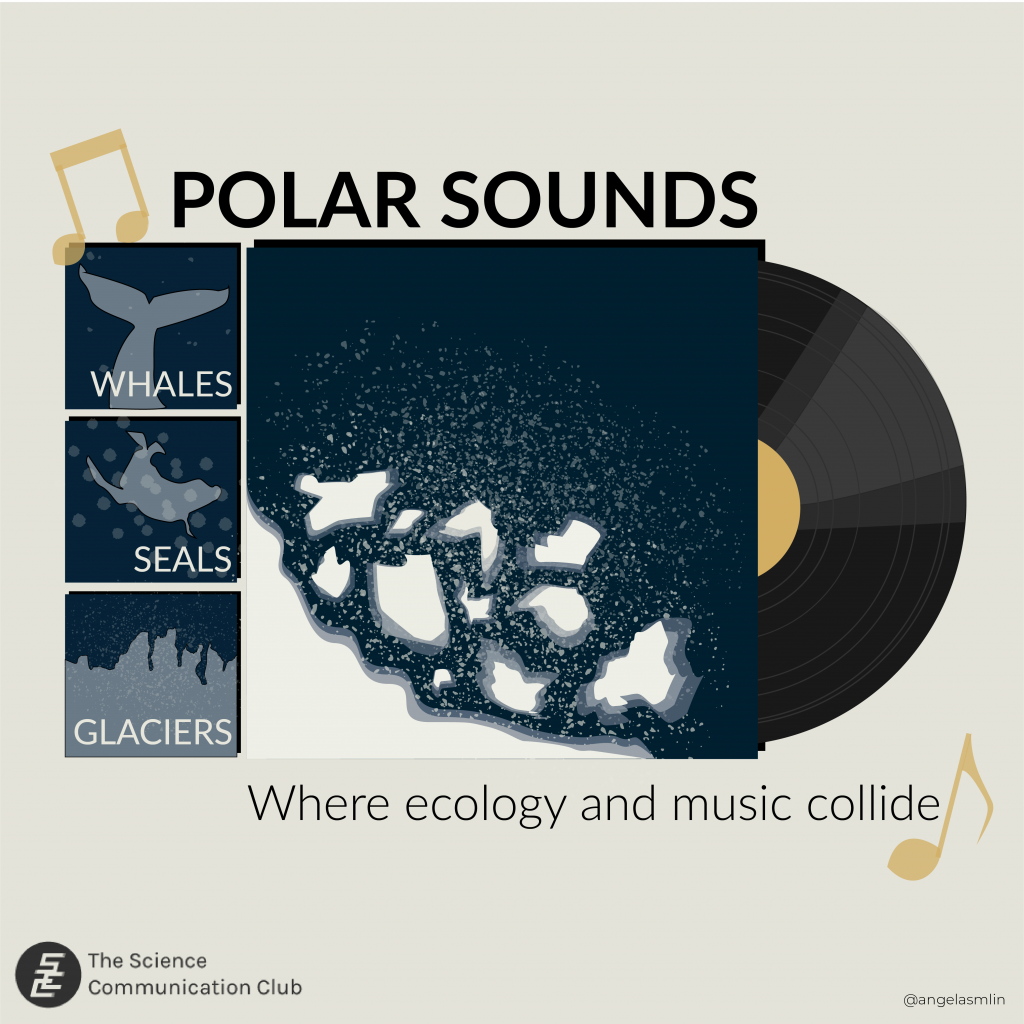 Album cover depicting a top-down view of the arctic with glaciers with mini album covers to the left depicting whales, seals, and glaciers. Text reading "Polar Sounds" and "where ecology and music collide" border the album.