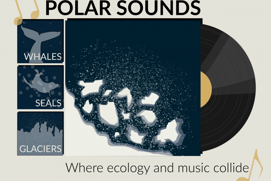 Album cover depicting a top-down view of the arctic with glaciers with mini album covers to the left depicting whales, seals, and glaciers. Text reading "Polar Sounds" and "where ecology and music collide" border the album.