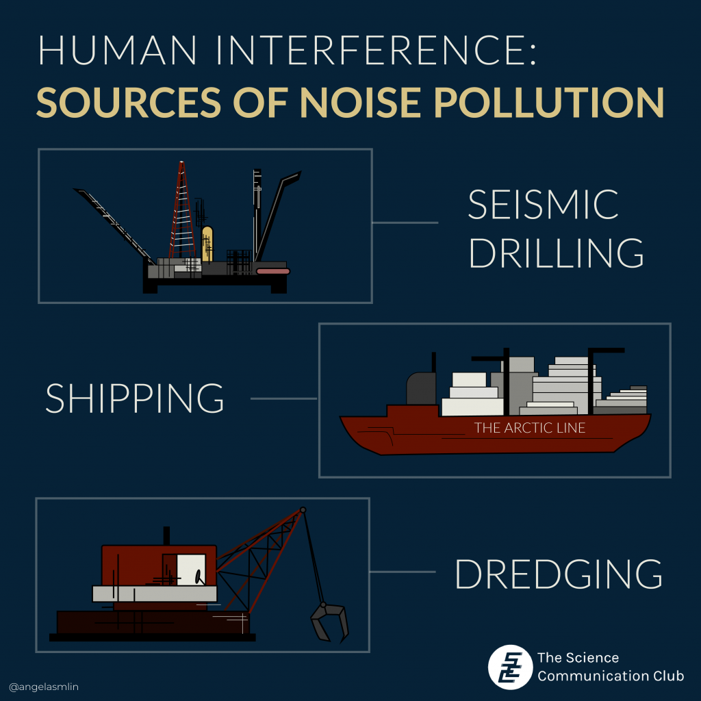 Text reading "Human interference: sources of noise pollution" at top. Cartoon illustrations of seismic drilling, shipping, and dredging below the text.