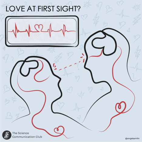 Line art drawing of two people looking at each other with a cartoon electrocardiogram over their heads showing a signal with a heart and text saying love at first sight.