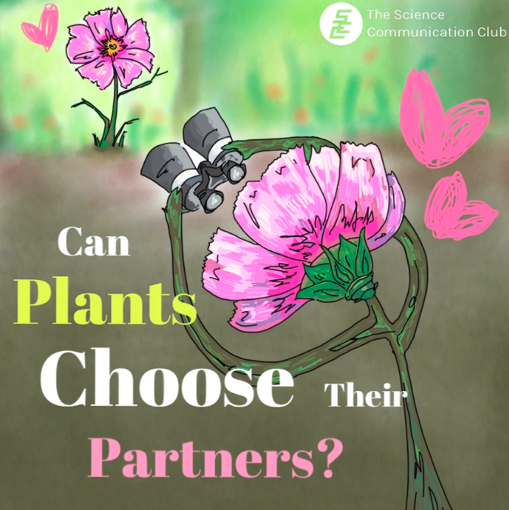 A pink flower spots its mate, which is another pink flower, with a binocular. Text written "Can Plants Choose Their Partners?" 