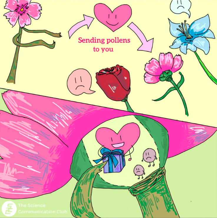 On the upper side, pollen from one pink flower moves towards the other pink flower. Text Written "Sending pollens to you". On the bottom side, the pink flower favors the received pollen inside the pollen tube by giving a gift. 