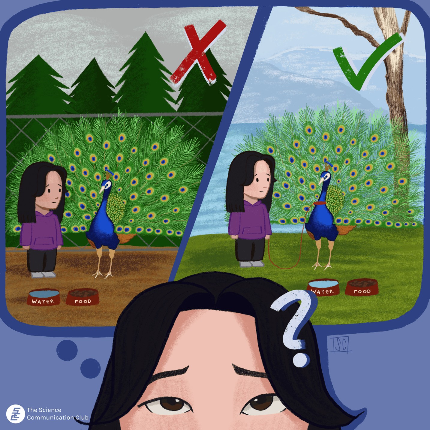 A girl with a question mark and a large thought bubble above her head. On the left, the same girl and her pet peacock are in a rural environment with trees and a fence in the background. On the right, the girl and her leashed peacock are in an outdoor environment, with a tree and the ocean in the background. There is an X on the left side of the bubble, and a checkmark on the right side of the bubble.