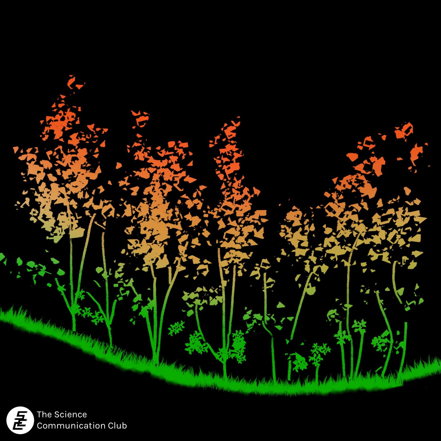 Image depicts LiDAR visualization of the Amazon rainforest. The image shows a cross-section of a tree line coloured in a gradient ranging from green to orange against a black background.
