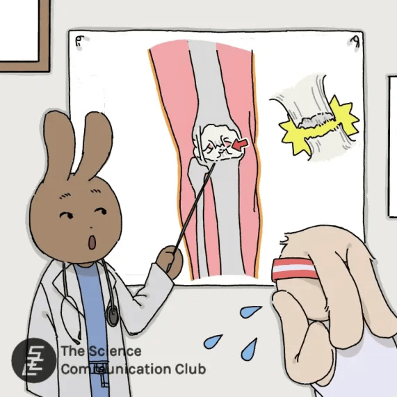 Two anthropomorphic rabbits in a white room. One is dressed as a doctor, and points with a stick to a large diagram of an ACL injury. The other, dressed in athletic wear, cries.