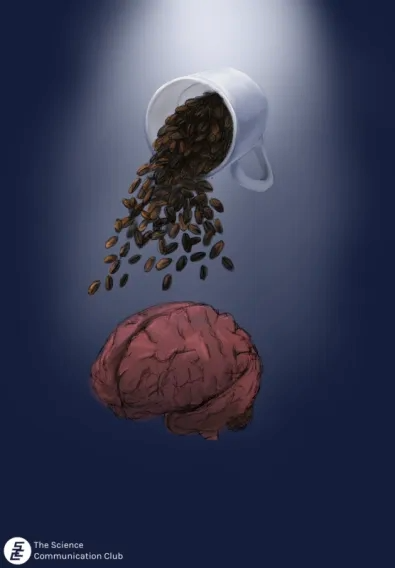 Image shows an overturned coffee mug, with coffee beans spilling out of it. Below the falling coffee beans is a human brain. The background is of a dark blue colour with an out of frame light source shining down on the mug and brain.