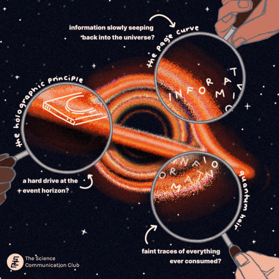 A black hole is positioned at the center of the image, tilted slightly to the right. Three portions of it are individually magnified by three magnifying glasses, held by three hands. The top-rightmost portion features letters spelling out “INFORMATION” arranged haphazardly as they leave the black hole and into space. Along the curve of this magnifying glass, there is text that reads “the page curve.” An arrow points to it, labelled by text reading “information slowly seeping back into the universe?” The bottom-rightmost portion features slightly transparent letters spelling out “INFORMATION” arranged haphazardly and stuck to the black hole’s accretion disk. Along the curve of this magnifying glass, there is text that reads “quantum hair.” An arrow points to it, labelled by text reading “faint traces of everything ever consumed?” The leftmost portion features a simplified hard drive near the event horizon. Along the curve of this magnifying glass, there is text that reads “the holographic principle.” An arrow points to it, labelled by text reading “a hard drive at the event horizon?” Everything is set against a black background dotted with stars.