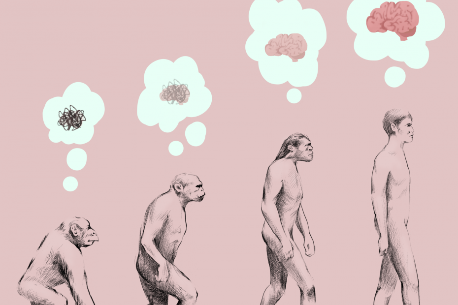 Primates progressively evolving into a human. Thought bubbles above the heads of each primate show the evolution of thought or consciousness, starting as a scribble and eventually a brain.