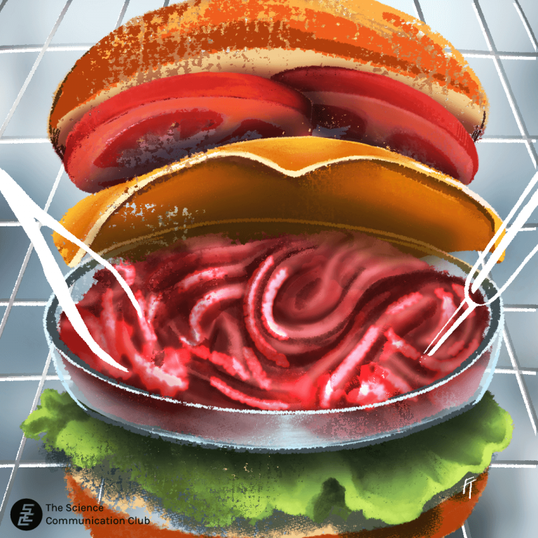A cheeseburger with the meat patty replaced by lab-grown ground meat in a petri dish.