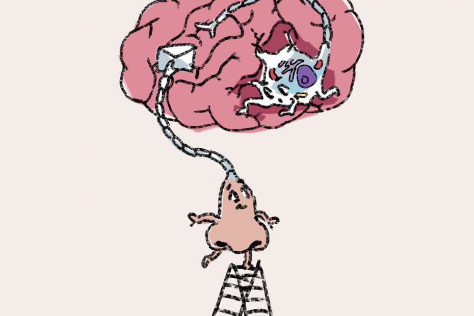 An illustration of a nose standing on a ladder to connect itself to the brain via a neuron.