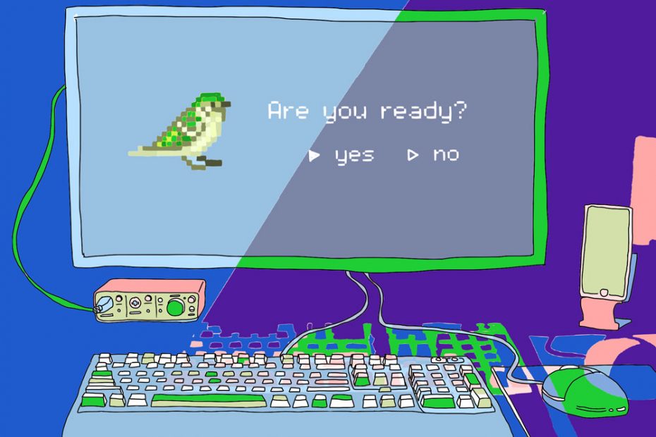 A desktop computer. On the monitor, there is an image of a sparrow bird and a prompt that reads "Are you ready?". There are two choices for the user to input, "yes" or "no".