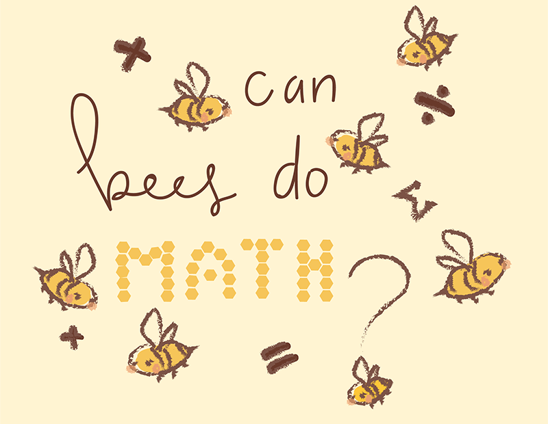 The text reads, "Can bees do math?". Bees are buzzing around the text. Mathematical symbols are scattered around the text as well.